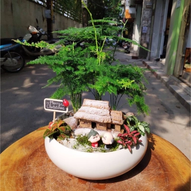 Chậu sứ Ang Bò cong tiểu cảnh để bàn - Thiết kế xinh xắn, giá ưu đãi 38.500 đồng