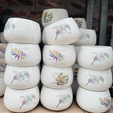 Chậu sứ in hình trồng cây - Chịu nhiệt, giảm còn 50.000đ, phù hợp nội thất 10