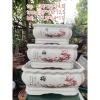 Chậu Tàu Cảnh Hoa Mai Đào kèm Thư Pháp - Giá ưu đãi 119.000 VNĐ