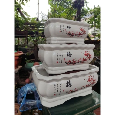 Chậu Tàu Cảnh Hoa Mai Đào kèm Thư Pháp - Giá ưu đãi 119.000 VNĐ 2