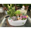 Chậu thuyền mix tiểu cảnh sen đá xương rồng trang trí bàn làm việc, góc học tập, giá 160.000 đồng 2