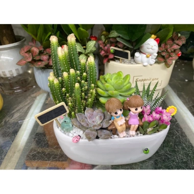 Chậu thuyền mix tiểu cảnh sen đá xương rồng trang trí bàn làm việc, góc học tập, giá 160.000 đồng 3