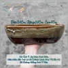 Chậu thuyền nhiều màu cho cây cảnh sen đá, xương rồng và Mix đa dạng, giá ưu đãi 79.000₫ 3