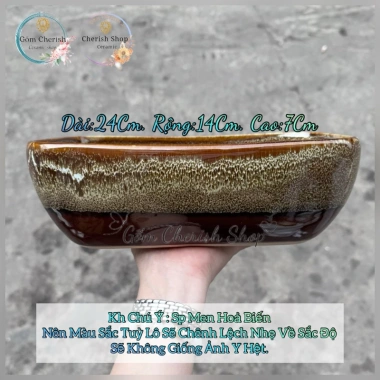 Chậu thuyền nhiều màu cho cây cảnh sen đá, xương rồng và Mix đa dạng, giá ưu đãi 79.000₫ 3