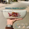 Chậu thuyền nhiều màu cho cây cảnh sen đá, xương rồng và Mix đa dạng, giá ưu đãi 79.000₫ 5