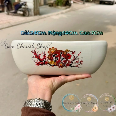 Chậu thuyền nhiều màu cho cây cảnh sen đá, xương rồng và Mix đa dạng, giá ưu đãi 79.000₫ 5