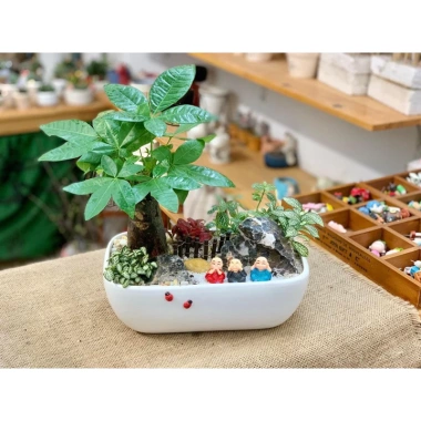 Chậu thuyền nhiều màu cho cây cảnh sen đá, xương rồng và Mix đa dạng, giá ưu đãi 79.000₫ 6