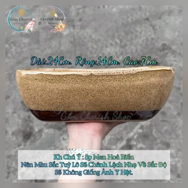 Chậu thuyền nhiều màu cho cây cảnh sen đá, xương rồng và Mix đa dạng, giá ưu đãi 79.000₫ 7
