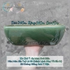 Chậu thuyền nhiều màu cho cây cảnh sen đá, xương rồng và Mix đa dạng, giá ưu đãi 79.000₫ 8