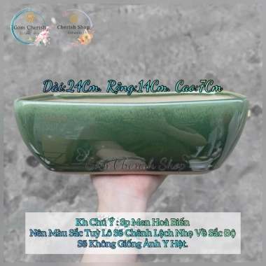 Chậu thuyền nhiều màu cho cây cảnh sen đá, xương rồng và Mix đa dạng, giá ưu đãi 79.000₫ 8