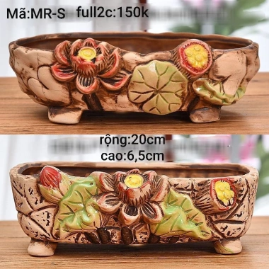 Chậu thuyền nhiều màu cho cây cảnh sen đá, xương rồng và Mix đa dạng, giá ưu đãi 79.000₫ 9