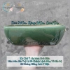 Chậu thuyền nhiều màu cho cây cảnh sen đá, xương rồng và Mix đa dạng, giá ưu đãi 79.000₫ 10