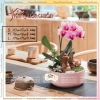 Chậu Tròn Gốm Bát Tràng Trồng Hoa Lan & Bonsai Để Bàn - Giá Ưu Đãi 35,000₫ | Tiệm Chuồn Chuồn 2