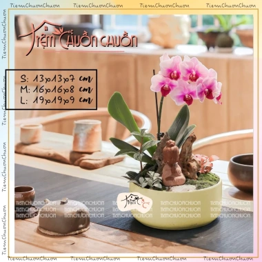 Chậu Tròn Gốm Bát Tràng Trồng Hoa Lan & Bonsai Để Bàn - Giá Ưu Đãi 35,000₫ | Tiệm Chuồn Chuồn 3 Chậu Tròn Gốm Bát Tràng Trồng Hoa Lan & Bonsai Để Bàn - Giá Ưu Đãi 35,000₫ | Tiệm Chuồn Chuồn 3