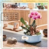 Chậu Tròn Gốm Bát Tràng Trồng Hoa Lan & Bonsai Để Bàn - Giá Ưu Đãi 35,000₫ | Tiệm Chuồn Chuồn 4