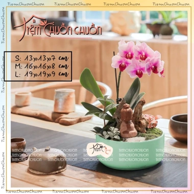 Chậu Tròn Gốm Bát Tràng Trồng Hoa Lan & Bonsai Để Bàn - Giá Ưu Đãi 35,000₫ | Tiệm Chuồn Chuồn 5 Chậu Tròn Gốm Bát Tràng Trồng Hoa Lan & Bonsai Để Bàn - Giá Ưu Đãi 35,000₫ | Tiệm Chuồn Chuồn 5
