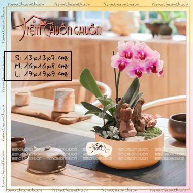 Chậu Tròn Gốm Bát Tràng Trồng Hoa Lan & Bonsai Để Bàn - Giá Ưu Đãi 35,000₫ | Tiệm Chuồn Chuồn