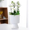 Chậu trồng cây cầm hoa hiện đại, trang trí phòng khách, bàn cây xanh 135k 2