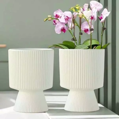 Chậu trồng cây cầm hoa hiện đại, trang trí phòng khách, bàn cây xanh 135k 3 Chậu trồng cây cầm hoa hiện đại, trang trí phòng khách, bàn cây xanh 135k 3
