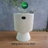 Chậu trồng cây cầm hoa hiện đại, trang trí phòng khách, bàn cây xanh 135k 4