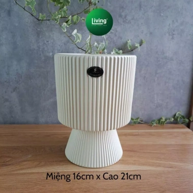 Chậu trồng cây cầm hoa hiện đại, trang trí phòng khách, bàn cây xanh 135k