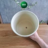Chậu trồng cây cầm hoa hiện đại, trang trí phòng khách, bàn cây xanh 135k 5