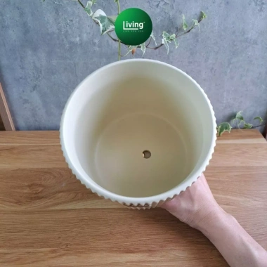 Chậu trồng cây cầm hoa hiện đại, trang trí phòng khách, bàn cây xanh 135k 5 Chậu trồng cây cầm hoa hiện đại, trang trí phòng khách, bàn cây xanh 135k 5