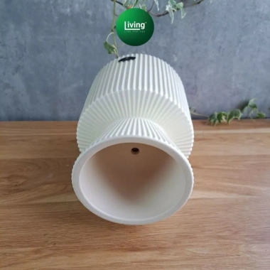 Chậu trồng cây cầm hoa hiện đại, trang trí phòng khách, bàn cây xanh 135k 6 Chậu trồng cây cầm hoa hiện đại, trang trí phòng khách, bàn cây xanh 135k 6