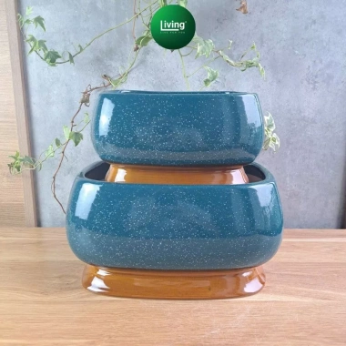 Chậu trồng cây chữ nhật bầu đá gỗ sứ tráng men cao cấp - Bonsai và cắm hoa : Livin Decor 186k 148k