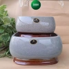 Chậu trồng cây chữ nhật bầu đá gỗ sứ tráng men cao cấp - Bonsai và cắm hoa : Livin Decor 186k 148k 5