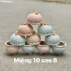 Chậu trồng cây mini xinh - Giá 159.000₫ (giảm từ 201.930₫), cho không gian nhỏ 2