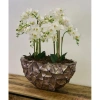 Chậu trồng hoa khảm vỏ sò độc đáo – Thiết kế sang trọng, giá chỉ 550.000₫ (giảm từ 709.500₫)