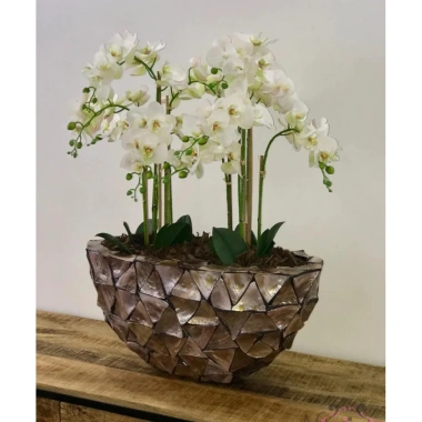 Chậu trồng hoa khảm vỏ sò độc đáo – Thiết kế sang trọng, giá chỉ 550.000₫ (giảm từ 709.500₫)
