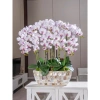 Chậu trồng hoa lan Hồ Điệp khảm trai - Giá ưu đãi 299.000, trang trí nội thất 4