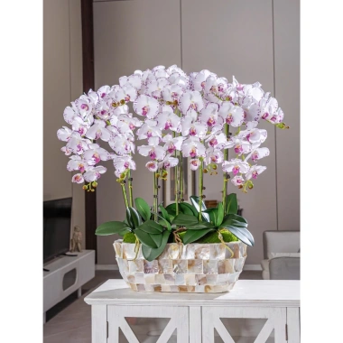 Chậu trồng hoa lan Hồ Điệp khảm trai - Giá ưu đãi 299.000, trang trí nội thất 4