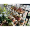 Chậu trồng sen đá Trụ Tròn H7,5×M7cm sứ Bát Tràng - Mini cho sen, xương rồng, tiểu cảnh, giá chỉ 28.000₫ 3