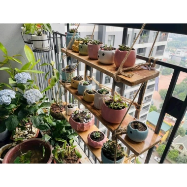 Chậu trồng sen đá Trụ Tròn H7,5×M7cm sứ Bát Tràng - Mini cho sen, xương rồng, tiểu cảnh, giá chỉ 28.000₫ 3
