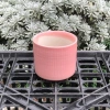 Chậu trồng sen đá Trụ Tròn H7,5×M7cm sứ Bát Tràng - Mini cho sen, xương rồng, tiểu cảnh, giá chỉ 28.000₫ 5