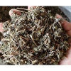 Chè dây Cao Bằng hỗ trợ điều trị đau dạ dày - Giảm giá 60.000đ (Giá gốc 72.000đ)