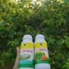 Chế phẩm siêu ra hoa Agri Thịnh Vượng – Tăng hoa cái, chống rụng hoa, an toàn cho mọi cây trồng, giảm còn 70.000đ