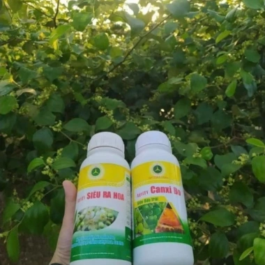 Chế phẩm siêu ra hoa Agri Thịnh Vượng – Tăng hoa cái, chống rụng hoa, an toàn cho mọi cây trồng, giảm còn 70.000đ