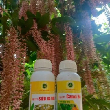 Chế phẩm siêu ra hoa Agri Thịnh Vượng – Tăng hoa cái, chống rụng hoa, an toàn cho mọi cây trồng, giảm còn 70.000đ