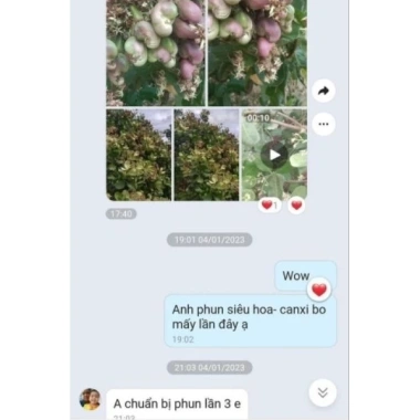 Chế phẩm siêu ra hoa Agri Thịnh Vượng – Tăng hoa cái, chống rụng hoa, an toàn cho mọi cây trồng, giảm còn 70.000đ