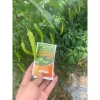 Chế phẩm sinh học nano NBC 50ml – Ngâm hạt, phun cây, kích nảy mầm, tăng hoa, giảm rụng trái, an toàn – Giá 7.700₫ 3