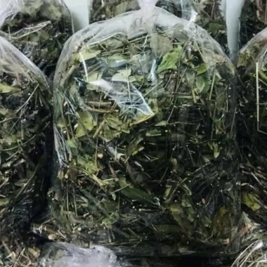 Chè Vằng Sẻ 1kg lá nhỏ cọng nhỏ loại 1 thơm xanh giảm cân, lợi sữa - 100.000 VND 2