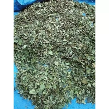 Chè Vằng Sẻ 1kg lá nhỏ cọng nhỏ loại 1 thơm xanh giảm cân, lợi sữa - 100.000 VND 3