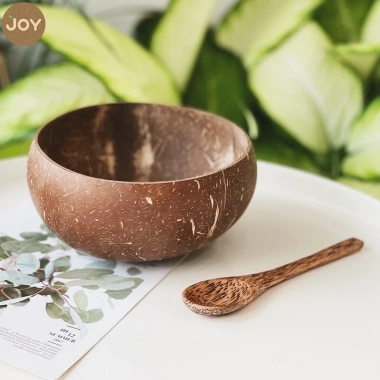 Chén Gáo Dừa Pha Bột Mặt Nạ 100% Tự Nhiên An Toàn Giá 19.400₫ Giảm 16%