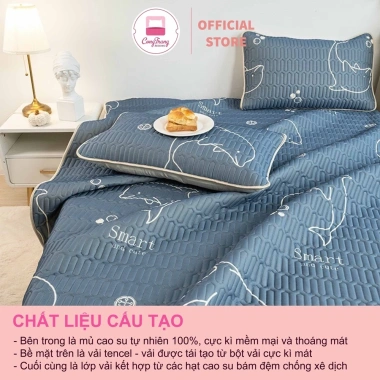 Chiếu Điều Hòa 5D Tencel - Thảm Trải Giường Latex Nhập Khẩu, Giá 140.500 2