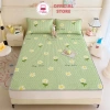 Chiếu Điều Hòa 5D Tencel - Thảm Trải Giường Latex Nhập Khẩu, Giá 140.500 8