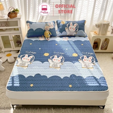 Chiếu Điều Hòa 5D Tencel - Thảm Trải Giường Latex Nhập Khẩu, Giá 140.500 9